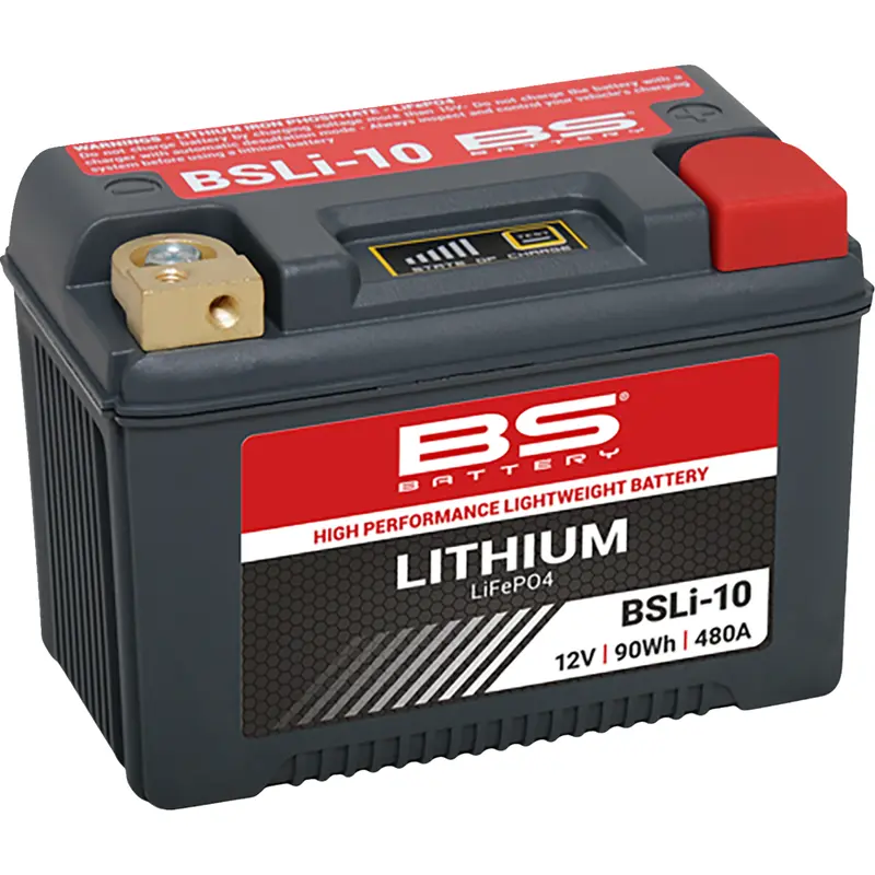 Lithium Max LiFePO4 Battery