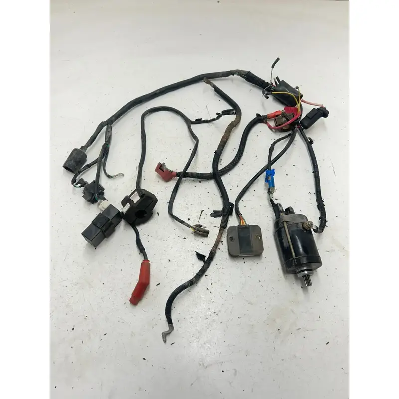 86 1986 Honda Fourtrax Trx200sx 200 Sx OEM Wiring Harness Loom ECU CDI Coil