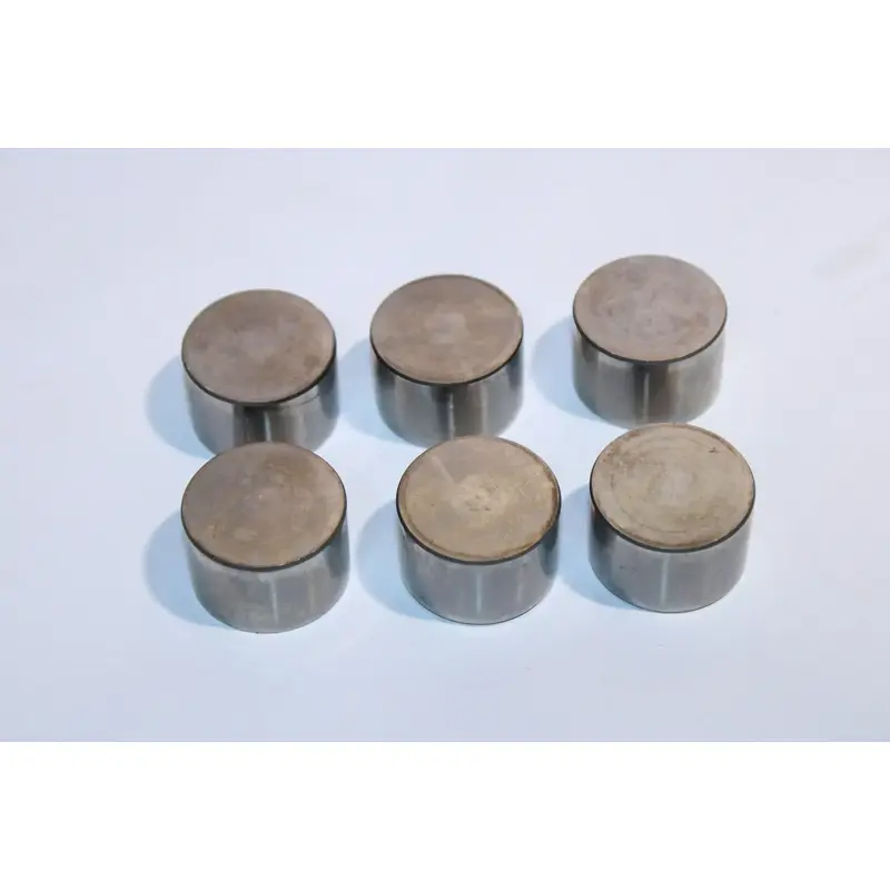 Polaris OEM Valve Tappet Bucket Shim Set 475, 478 x2, 480, 492, and 495.