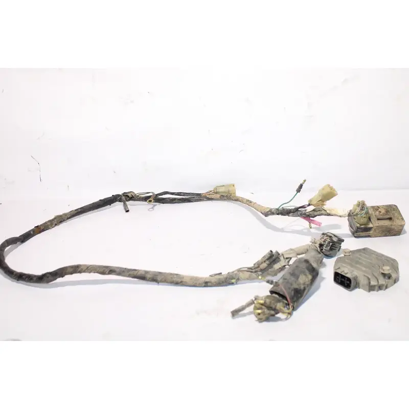 1999-2004 Honda Sportrax 400 Trx400ex OEM Wiring Harness CDI And Rectifier