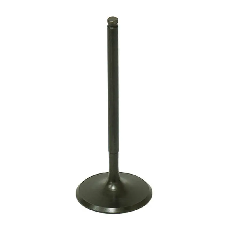 BRONCO INTAKE VALVE