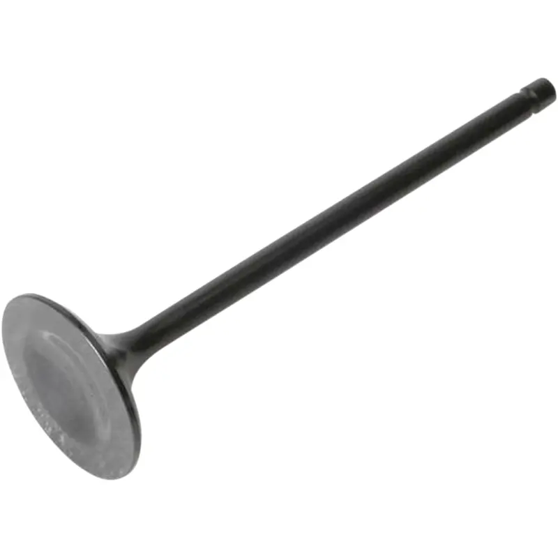 Black Diamond Engine Valve