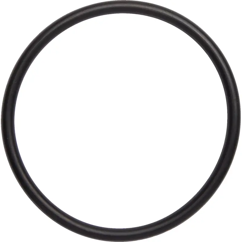 Exhaust O-Rings