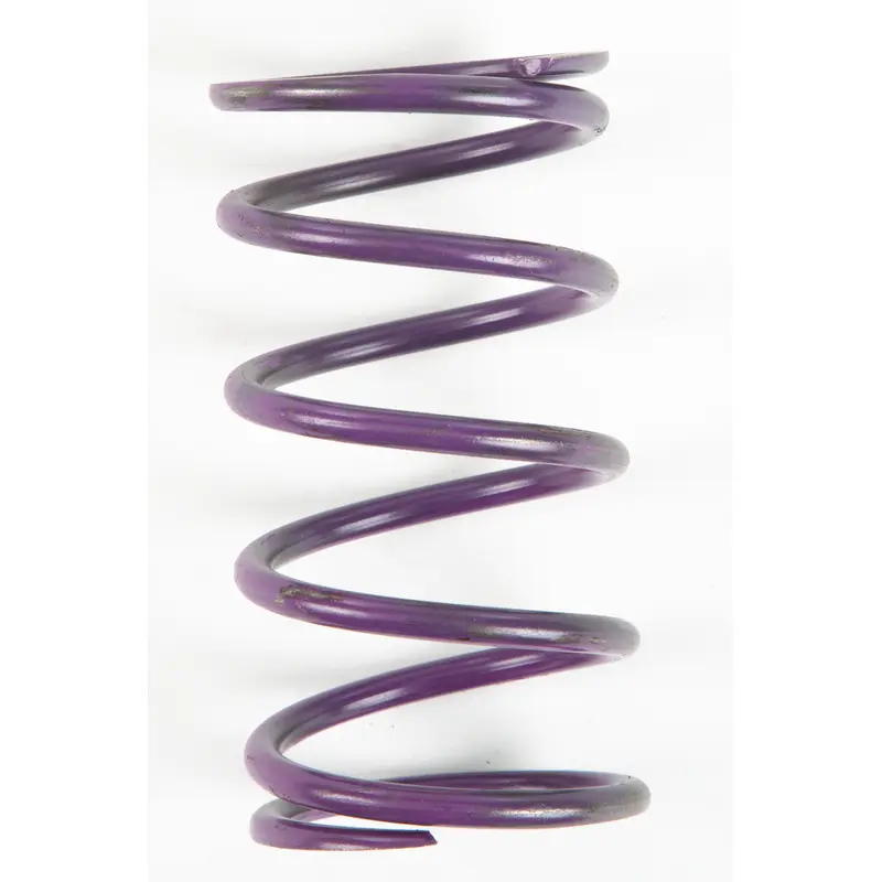 Clutch Spring