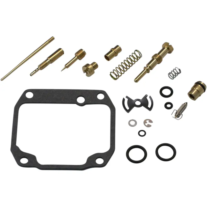 Carburetor Repair Kit