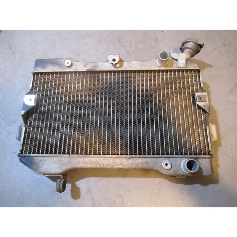 Suzuki LTR 450 Radiator 2008 #6