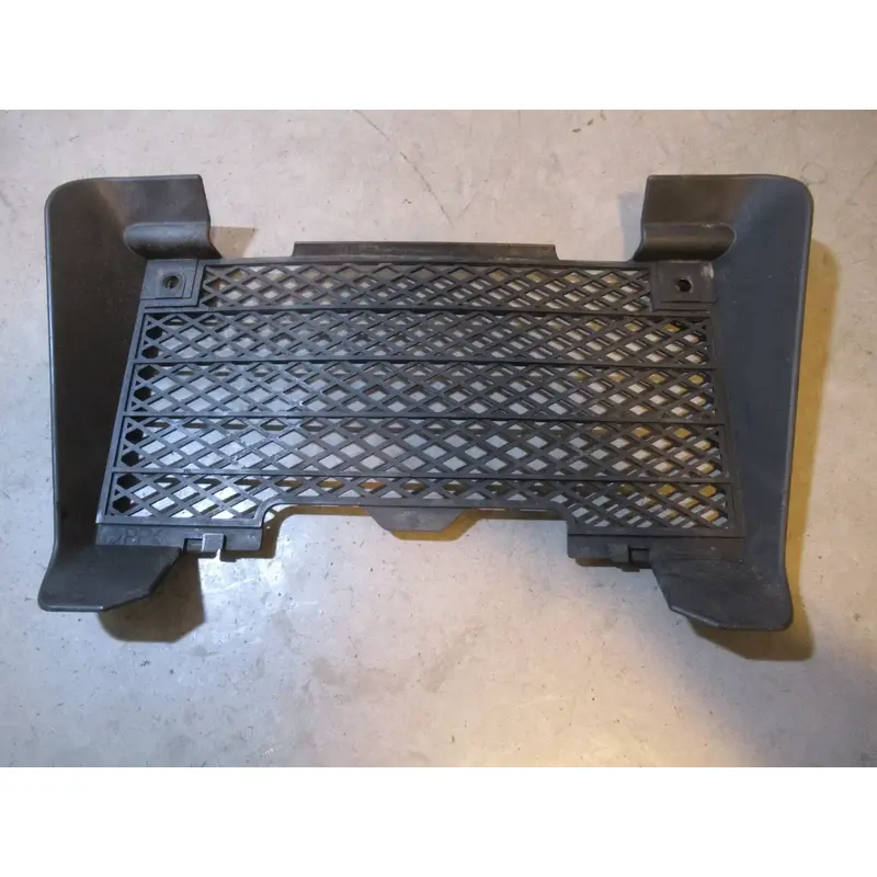 Suzuki LTR 450 Radiator Cover 2008 #6