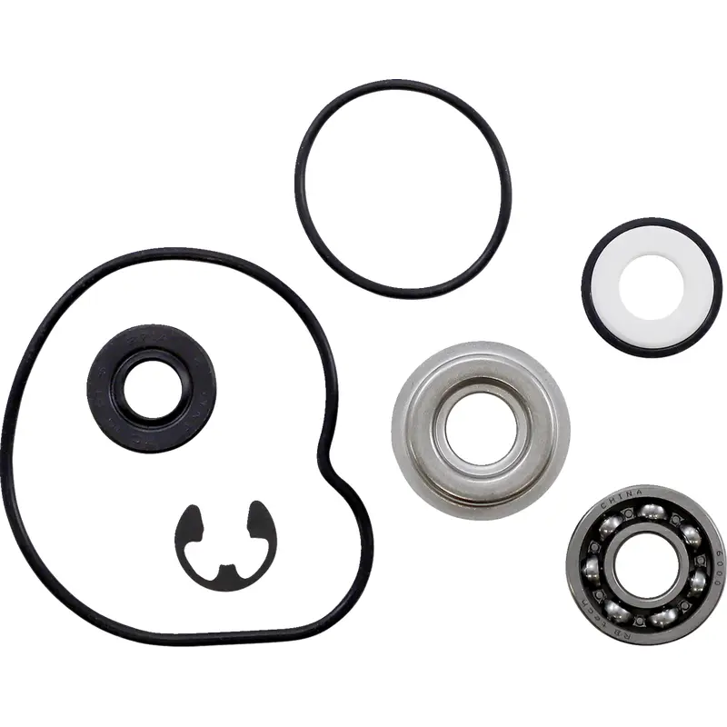 Water Pump Rebuild Kit