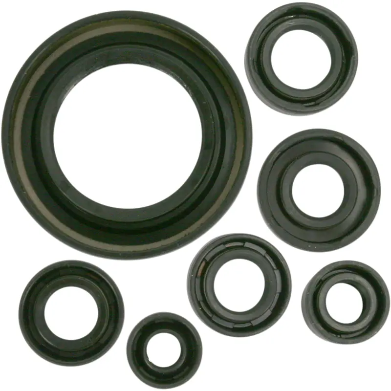 Motor Oil Seals
