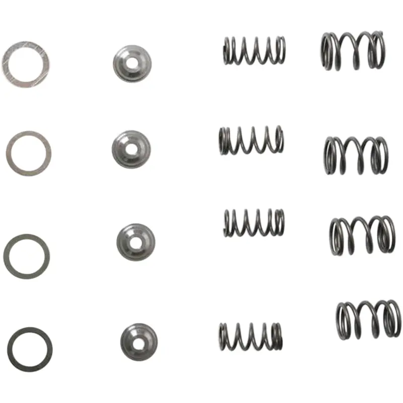 Valve Spring Kit