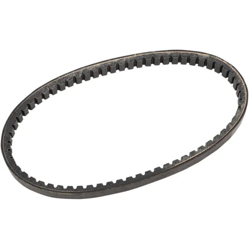T.C. Belt for Cat-99