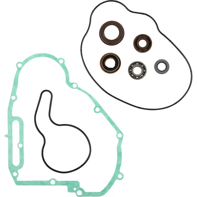 Water Pump Rebuild Kit