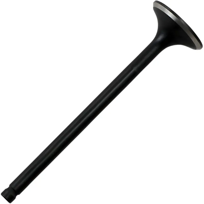 Black Diamond Engine Valve