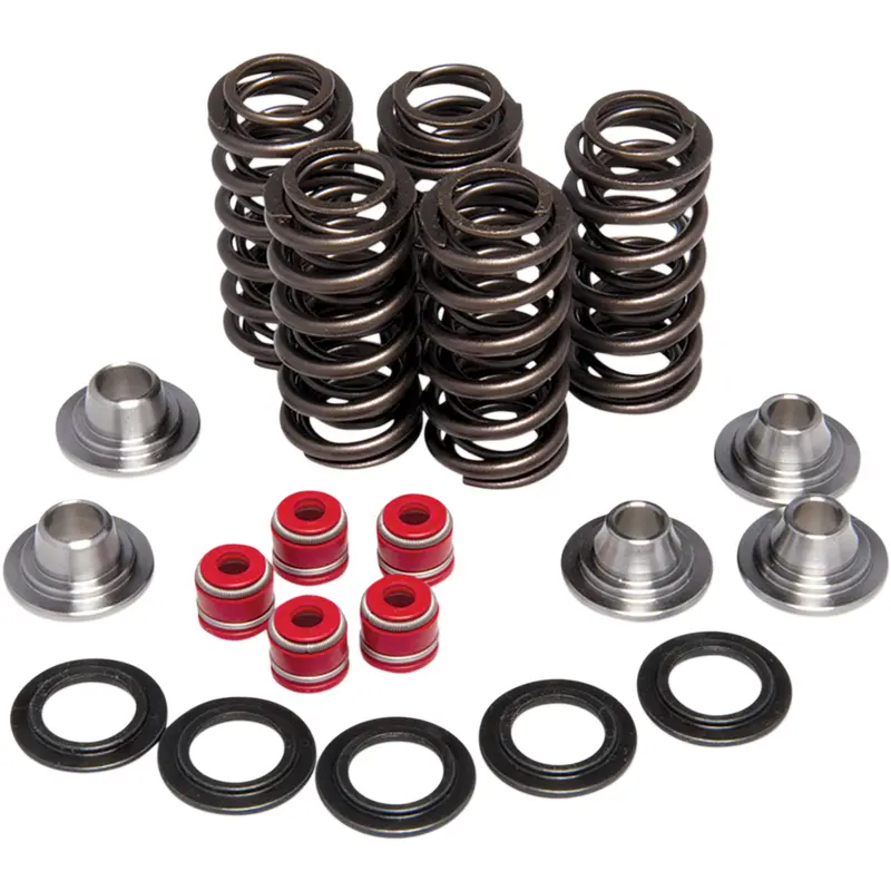 Valve Spring Kit