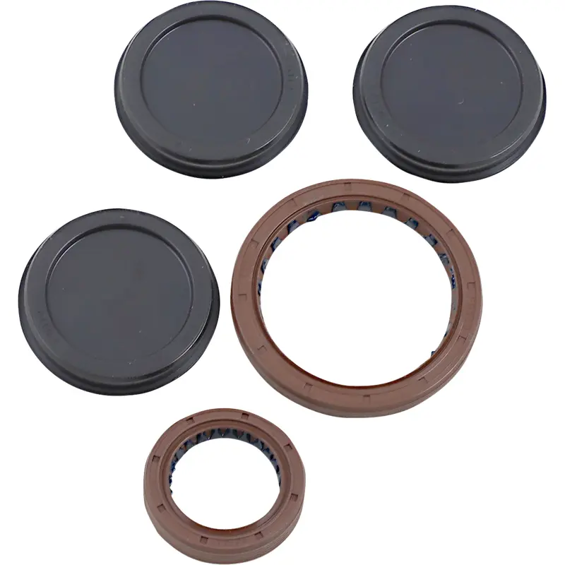 Oil Seal Kit