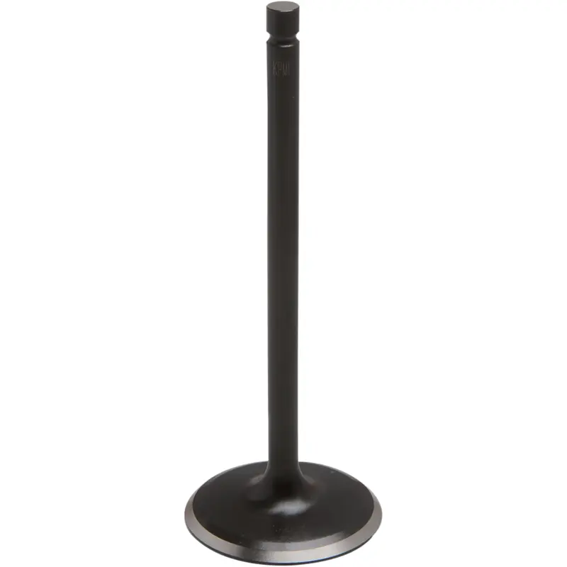 Black Diamond Engine Valve