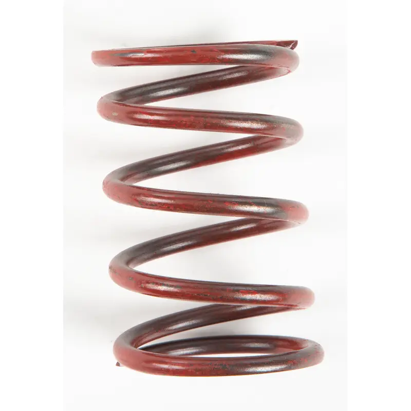 Clutch Spring