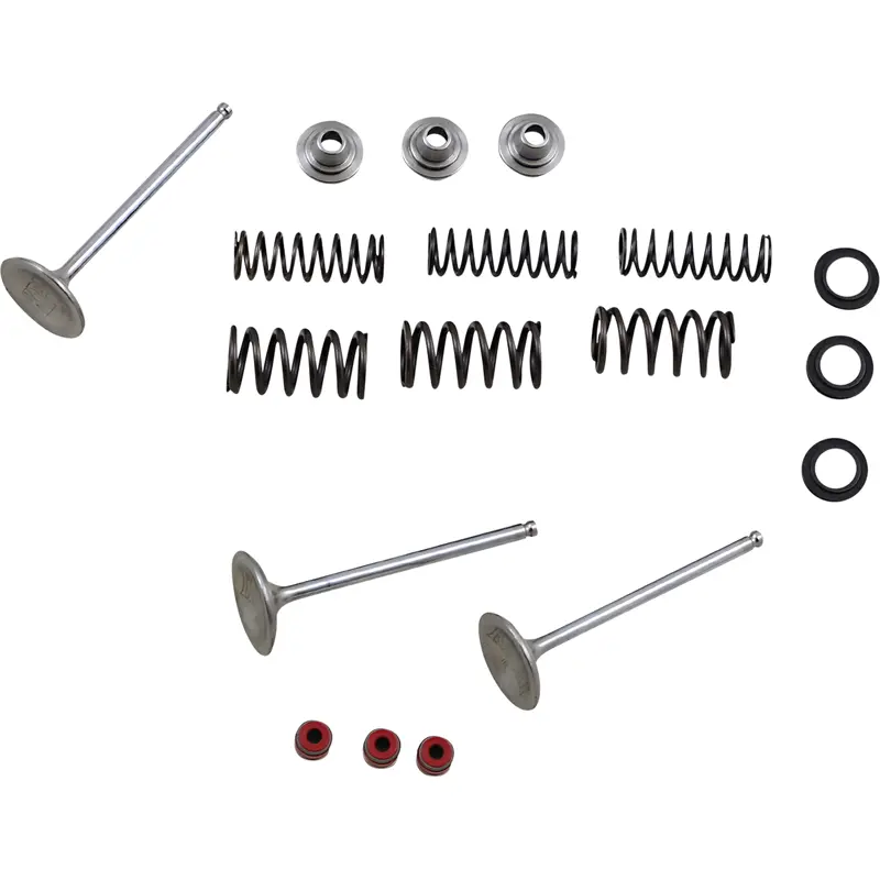 Stainless Intake Valve and Spring Kit