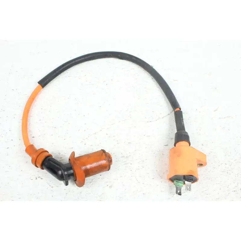 2005 Honda Sportrax TRX300EX Ignition  B4351