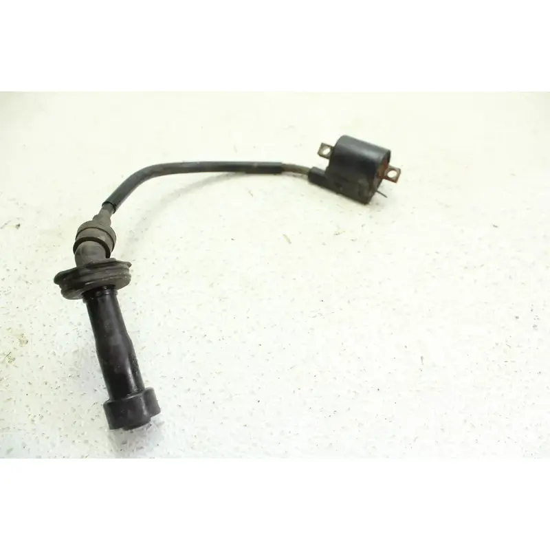 2001 Yamaha Raptor 660r OEM Ignition Coil  B4458