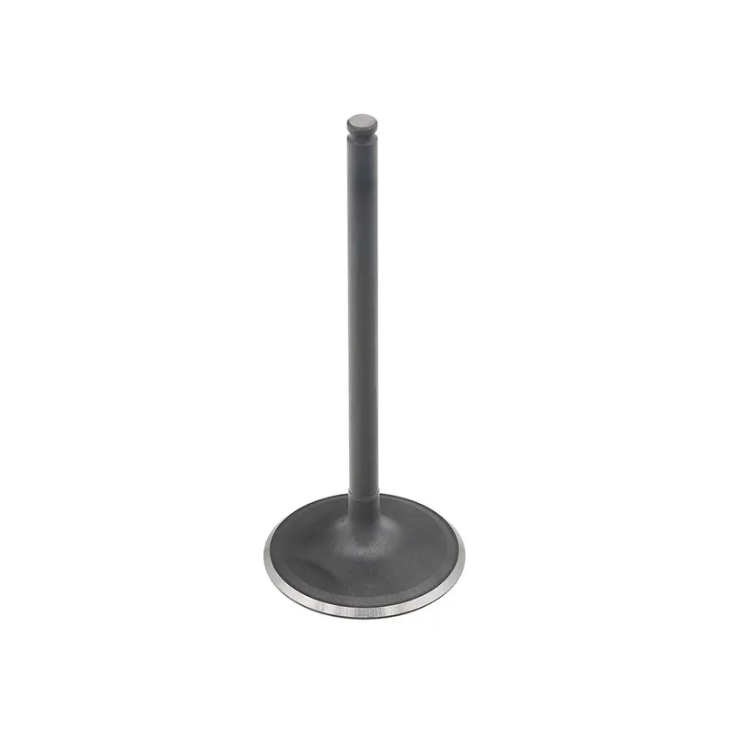 BRONCO INTAKE VALVE POL