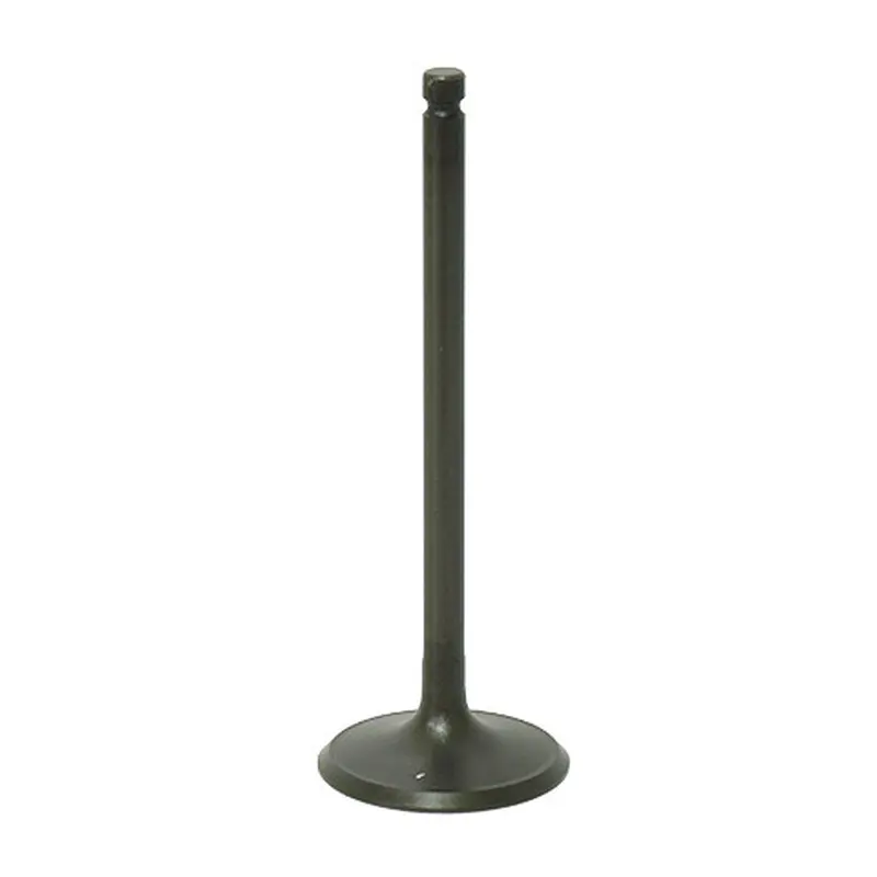BRONCO INTAKE VALVE
