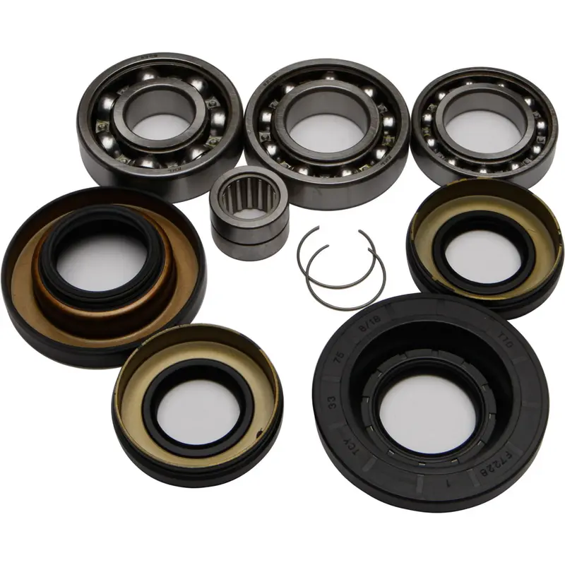 ALL BALLS REAR DIFFERENTIAL BEARING AND SEAL KIT