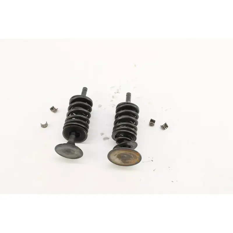1987 Yamaha Warrior 350 Yfm350x Intake & Exhaust Valve W/Springs k2205