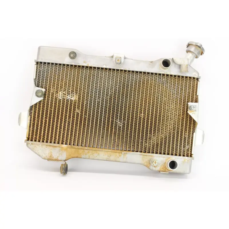 06-09 Suzuki Quadracer LTR 450 Engine Radiator Motor Cooler Cooling 1029
