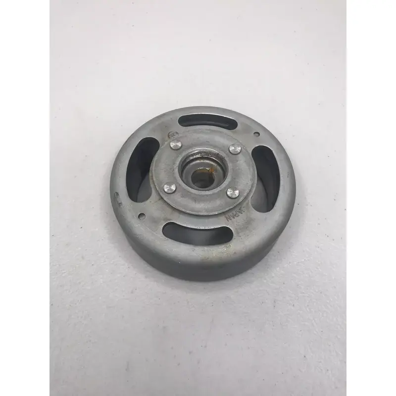 Ds80 * Flywheel Magneto Weight Stator 1995