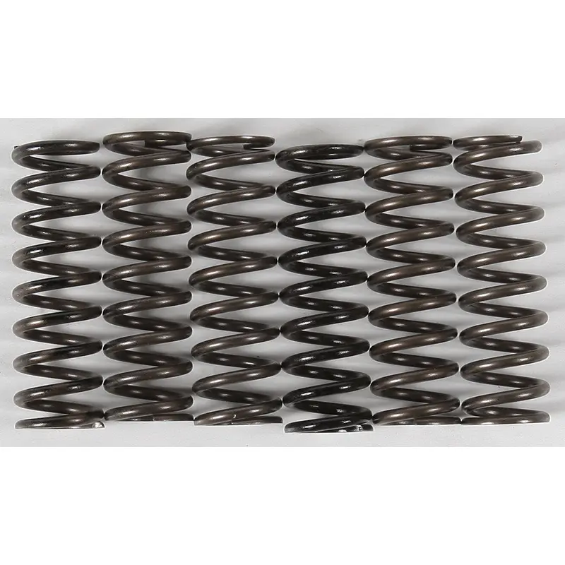 HINSON HIGH TEMP SPRINGS 6 SPRINGS CS216-6-0315