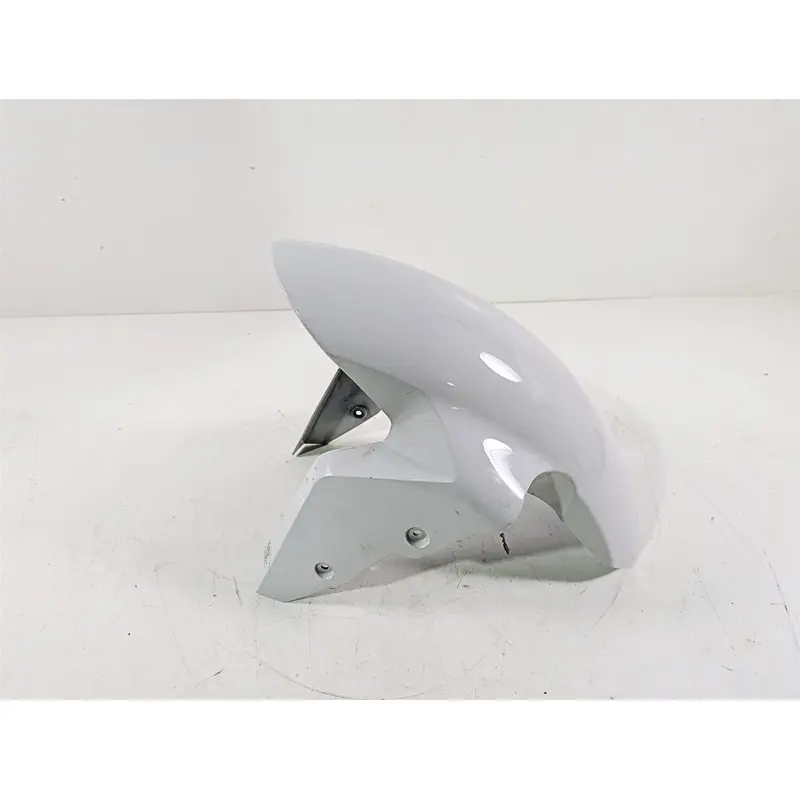2016 BMW S1000RR K46 Front Fender Lightwhite 46617715964