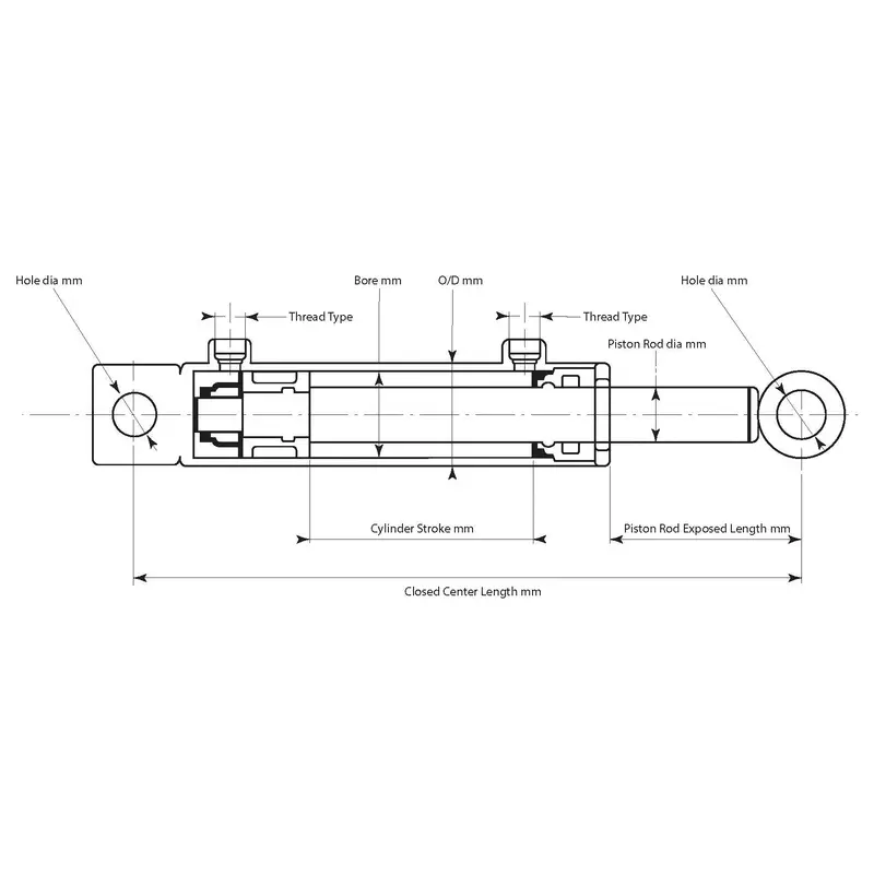 Hydraulic Double Acting Cylinder with Ends, 20 x 32 x 100mm | Sparex Part No.S.136880