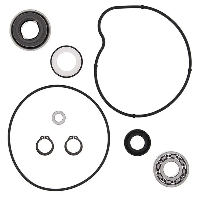 VERTEX WATER PUMP REBUILD KIT (821852)