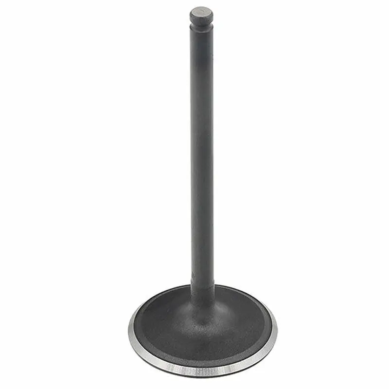 VALVE INTAKE (AU-09201I)