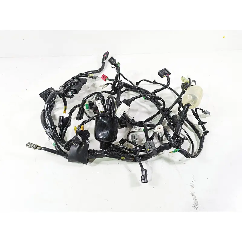 2023 Kawasaki KLR KL 650 Adventure Wiring Harness Loom ABS  - No Cuts 26031-3898