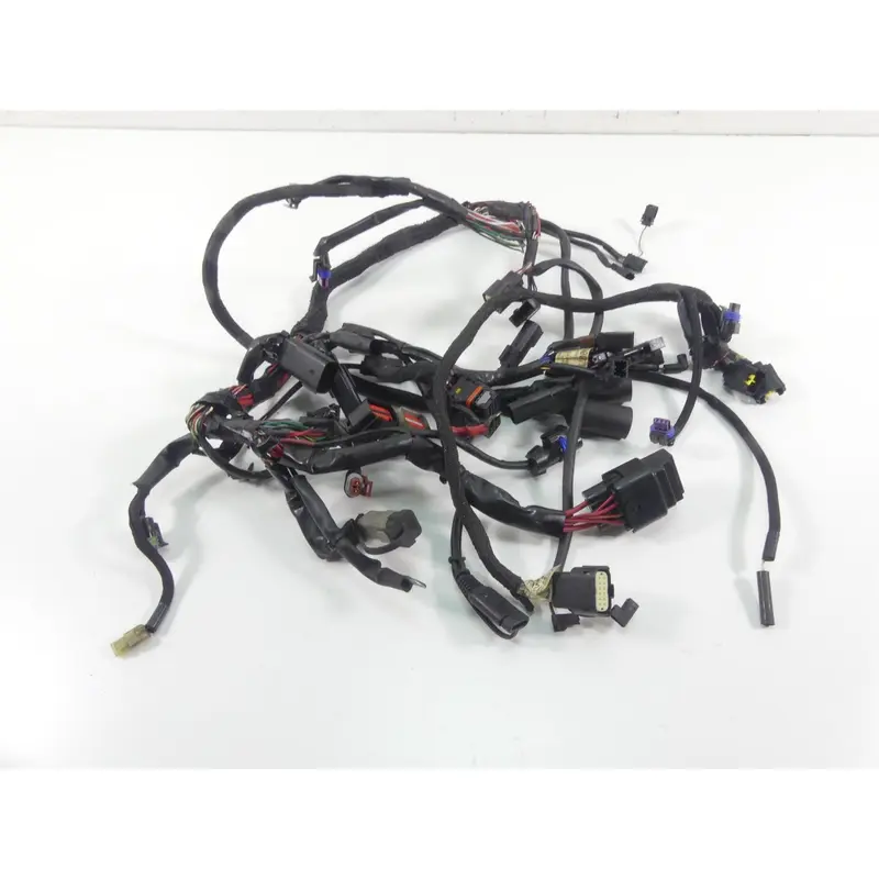 2018 Harley Sportster XL1200 Custom Main Wiring Harness Loom - No Abs 69200072B