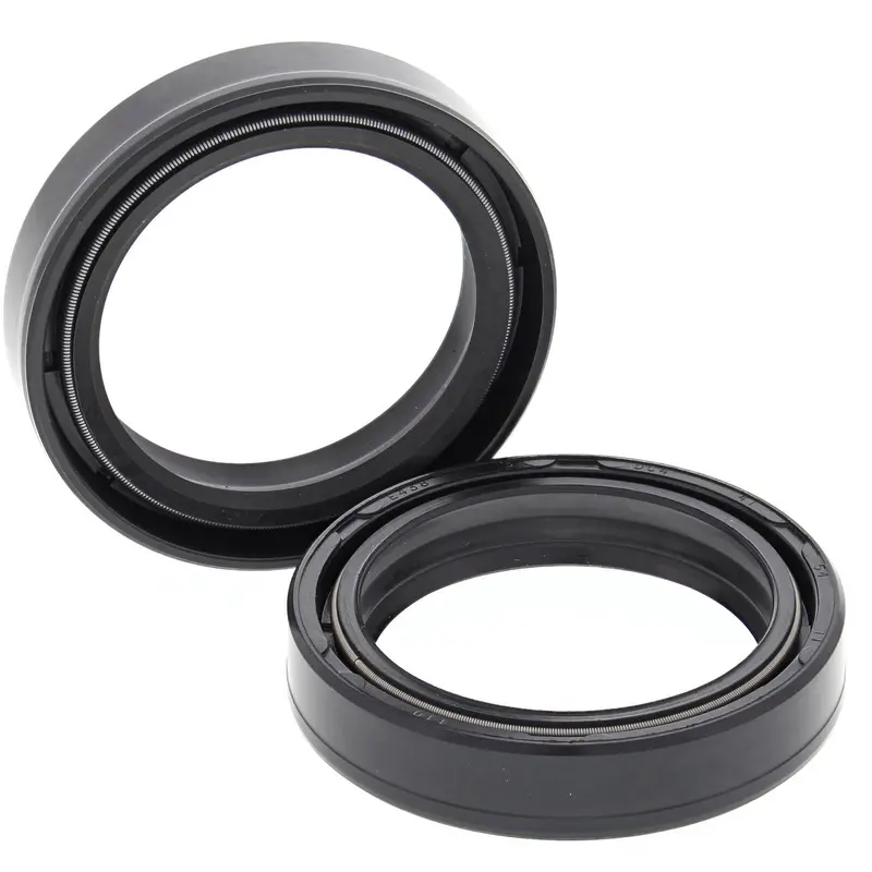 Fork Seals Pair 41x54x11 55-119