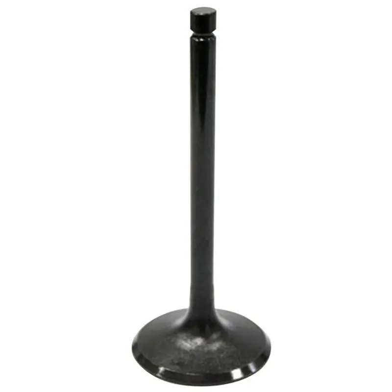 VALVE INTAKE (AU-09016I)