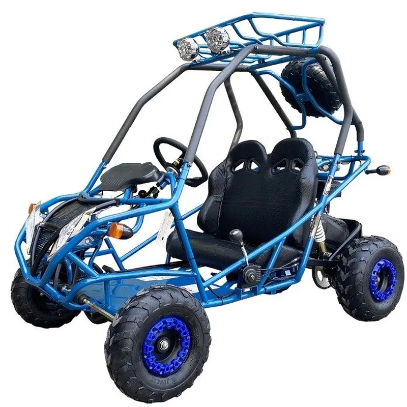 Dongfang DF200GVA Falcon Jr. Children's Go-Kart Buggy, 4-Stroke 196cc