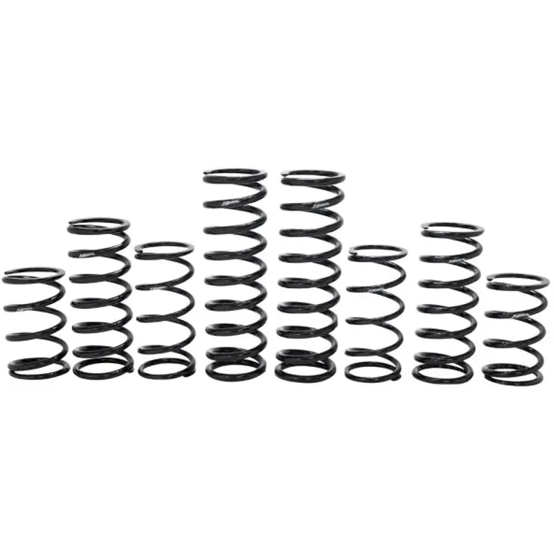 Pol. Rzr Pro R  Spring Kit 2022 2023  Walker Ev. 2 Seat
