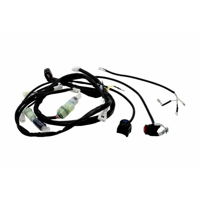 Beta - 2 Stroke Race Wire Loom, 2024+ 250/300 Race Editions