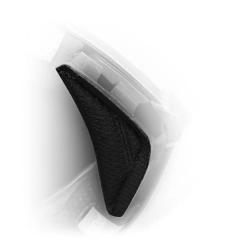 Pista GP RR Wind protector