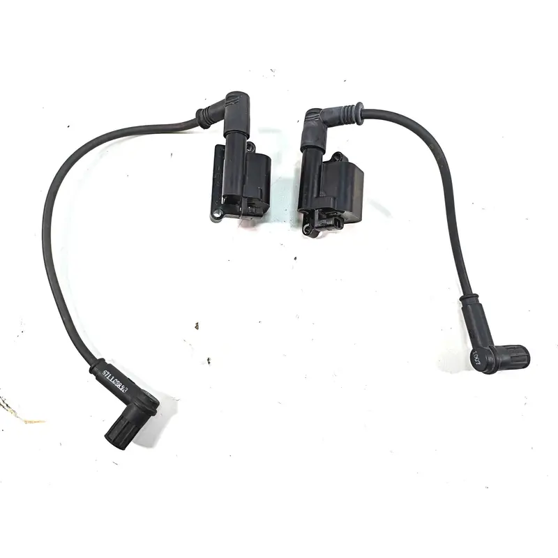 2011 Ducati Hypermotard 1100 Evo SP Beru Ignition Coil Wires Plugs Set 38010151A