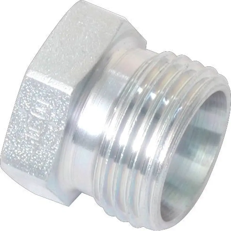 Hydraulic Blanking Plug 12L | Sparex Part No.S.21273