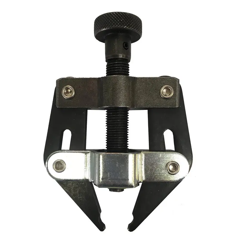 Dragon Stone Chain Link Holder