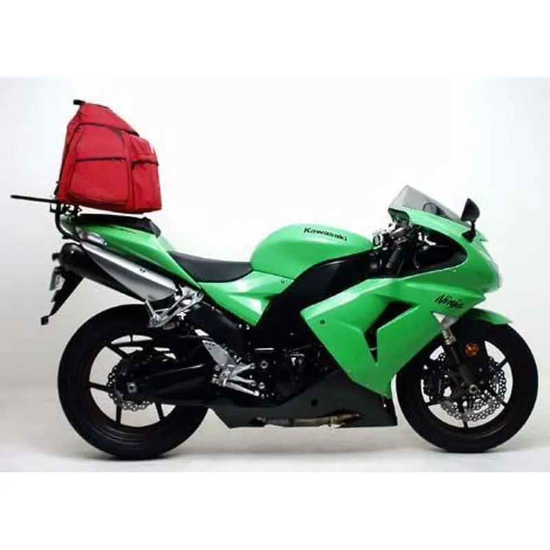 Kawasaki ZX-10R 1000 (06-07)