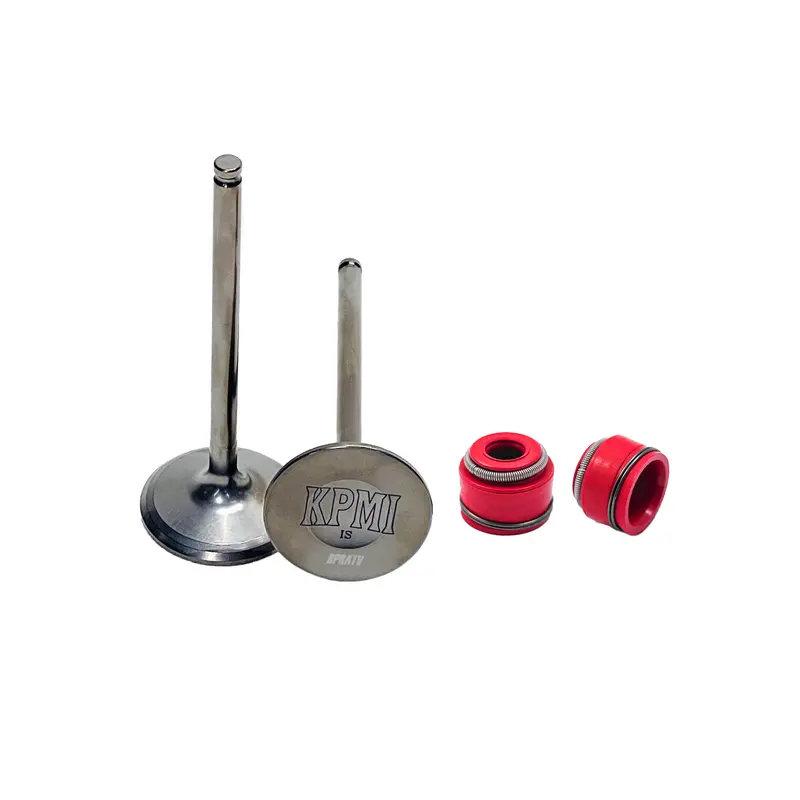 14-19 Yamaha YZ250FX YZ 250FX OEM Kibblewhite TITANIUM Intake Valves & RED Seals