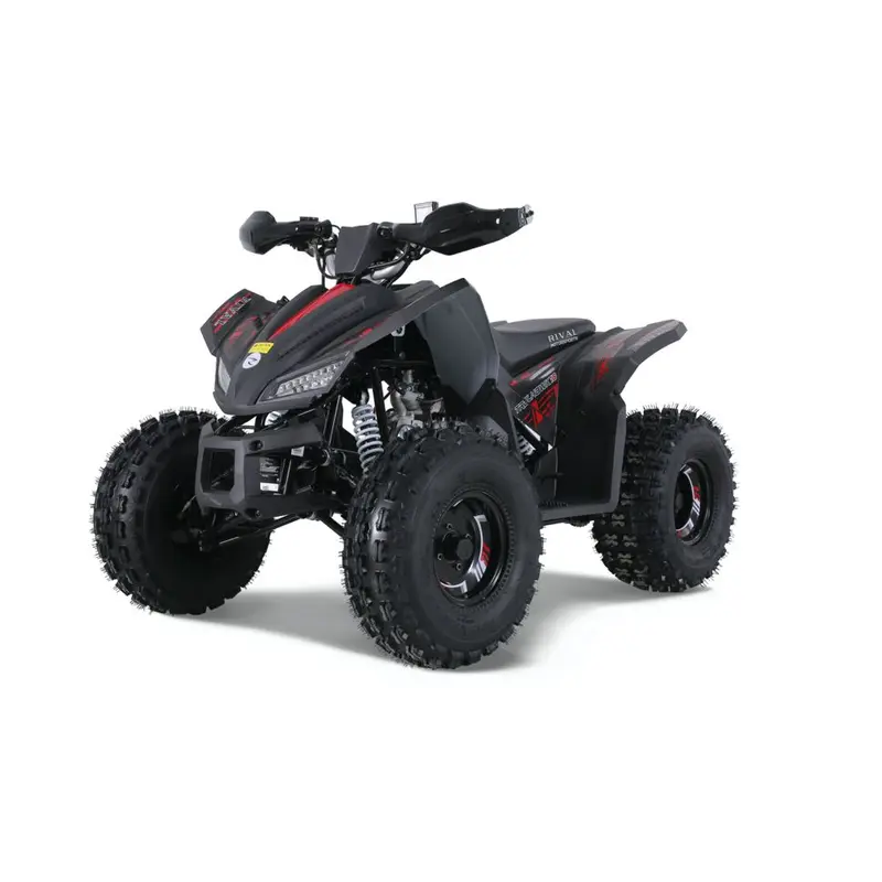 Tao Tao Rival Trailhawk 10 Children's ATV, 4-Stroke 125cc